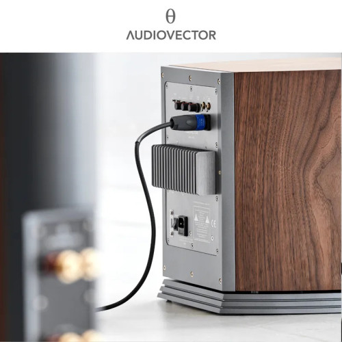 AUDIOVECTOR R SUB ARRETÉ 重低音喇叭