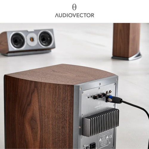 AUDIOVECTOR R SUB ARRETÉ 重低音喇叭
