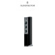 AUDIOVECTOR R8 ARRETÉ 落地喇叭