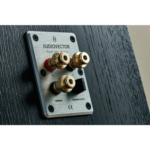 AUDIOVECTOR Trapeze Reimagined AUDIOVECTOR Trapeze Reimagined