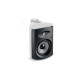 FOCAL 100 OD6