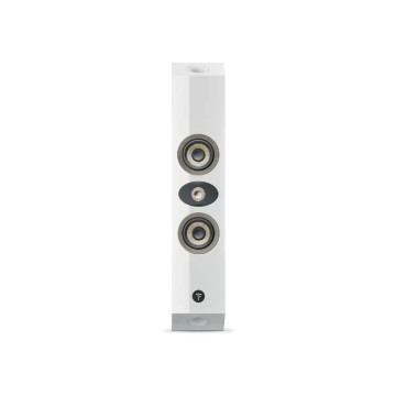 Focal On Wall 301 (支 )