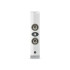 Focal On Wall 301 (支 )