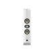 Focal On Wall 301 (支 ) Focal On Wall 301 (支 )